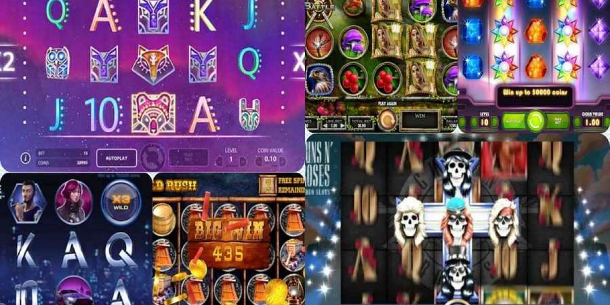 Discover the World of Online Casino Excitement