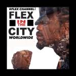 flexchannel Profile Picture