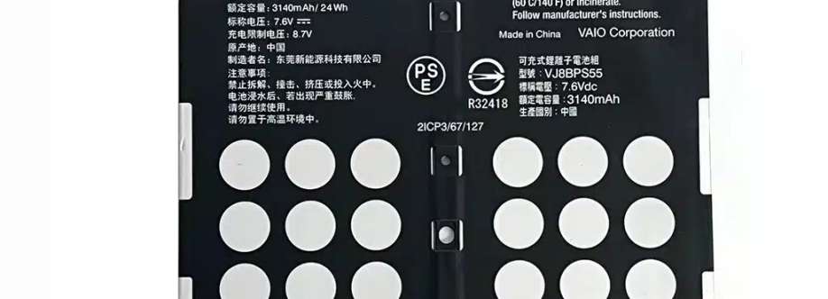 川口 大輝 Cover Image
